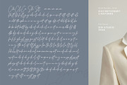 Brighter Paradise, a Serif Font by din-studio.com (Thumbnail 5 of 15)