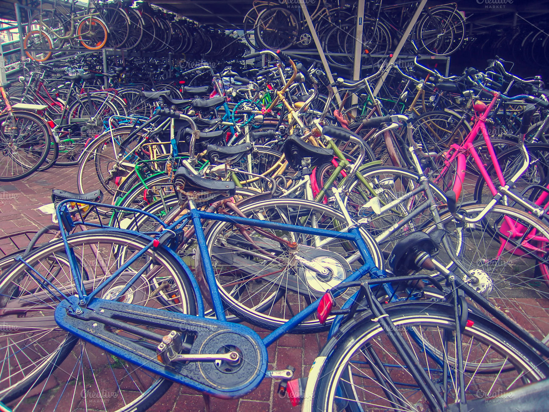 Bikes In The Netherlands