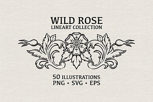 WILD ROSE lineart collection