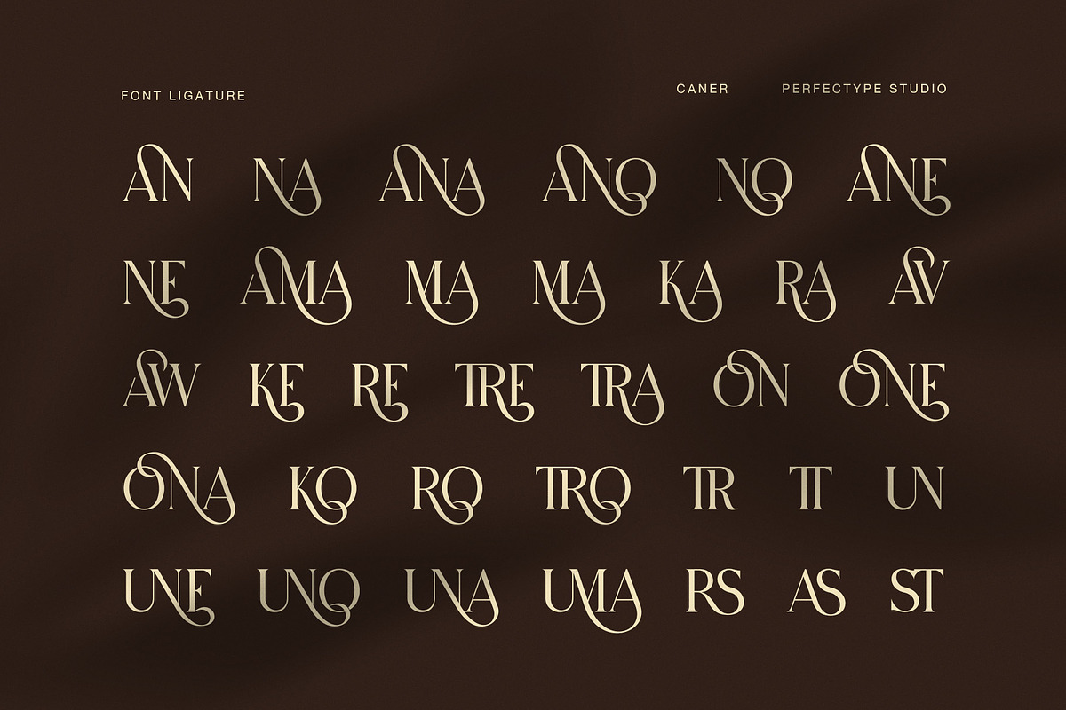 Caner Elegant Ligature Serif Font, a Serif Font by Perfectype (Photo 8 of 8)