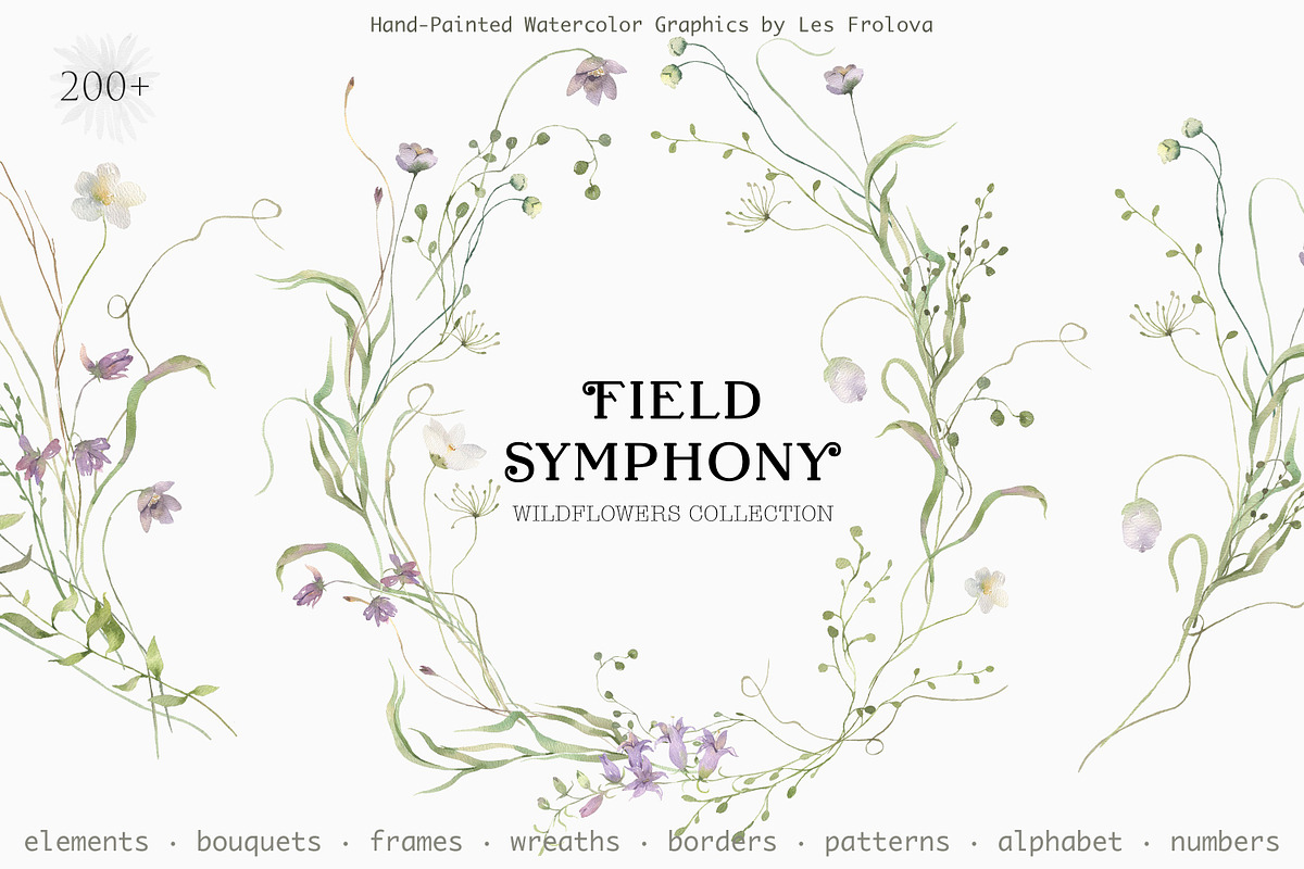 FIELD SYMPHONY- Flowers Collection, a Decorative Illustration by Les Frolova (Photo 1 of 18)
