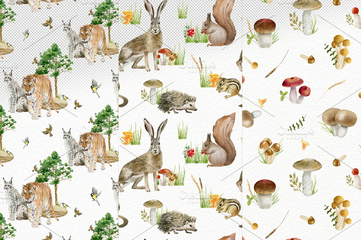 Forest watercolor designer toolkit, an Animal Illustration by Elegantia (Photo 26 of 28)