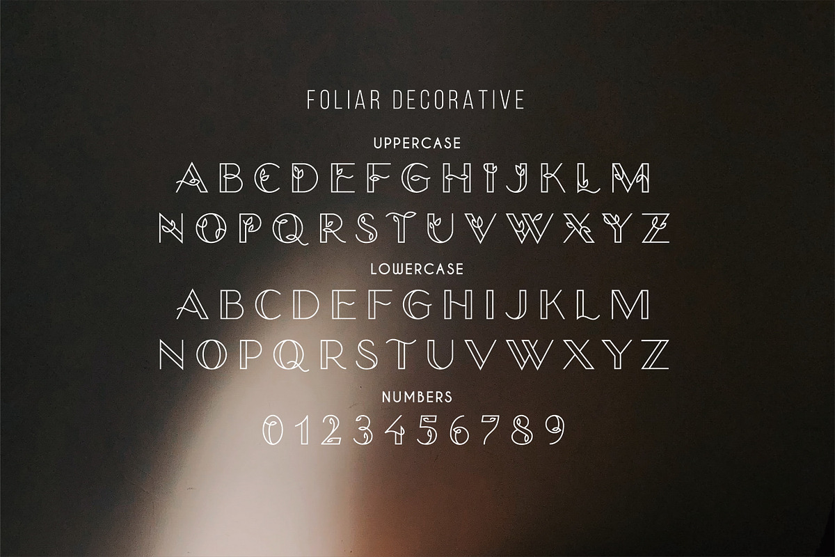 Foliar - Thin Line Logo Font, a Sans Serif Font by Struvictory.art (Photo 3 of 9)