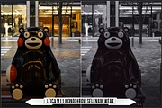 Leica Monochrom Profiles, a Plug-in Add-On by Raztrend (Thumbnail 23 of 31)