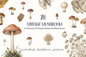Vintage Mushroom Illustrations