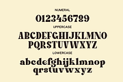 Lacer - Serif Bold Typeface, a Serif Font by MaikoHatta (Thumbnail 10 of 11)