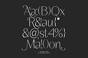 Novena | Modern Elegant, a Sans Serif Font by InkwellTypeCo (Thumbnail 9 of 12)