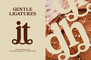 The Redlane Editorial Serif Font, a Serif Font by Rasio Studio (Thumbnail 5 of 10)