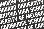 Behover - Logo Font Pack, a Font by Martype Co (Thumbnail 3 of 11)