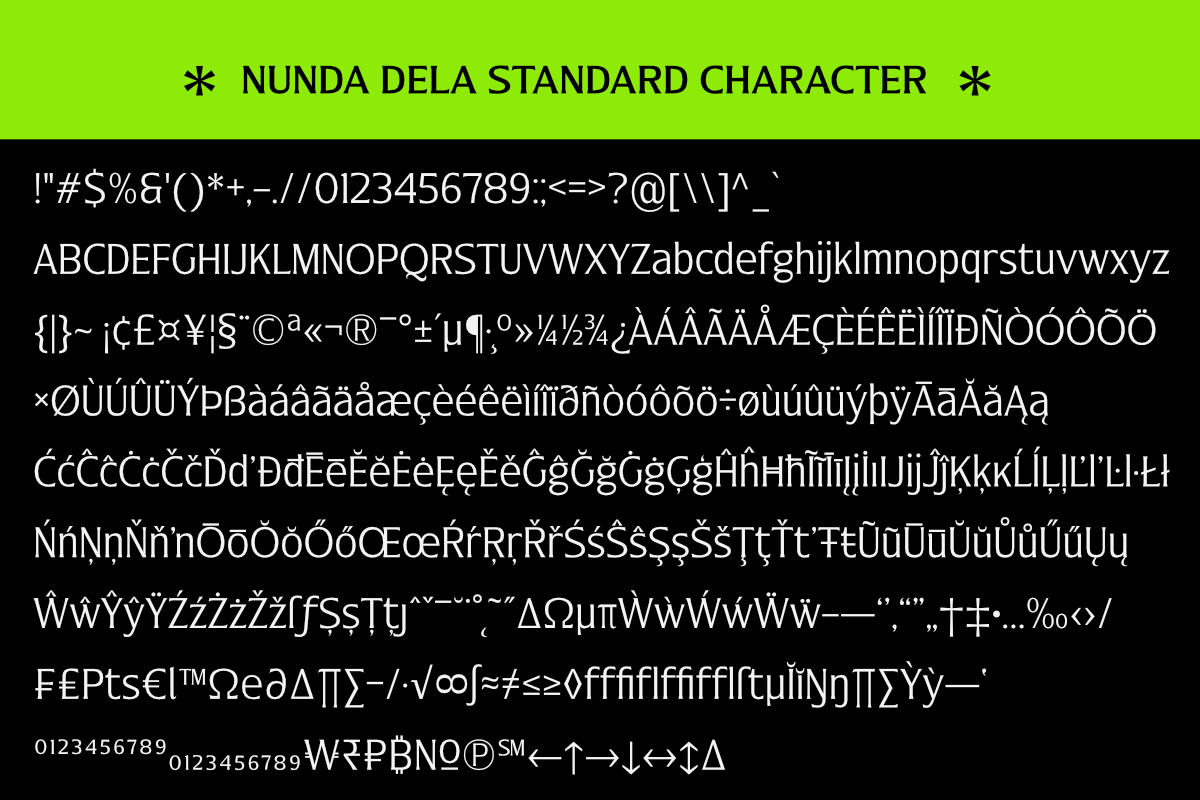 Nunda Dela, a Serif Font by Differentialtype (Photo 11 of 11)