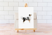Dog breed clipart illustration set, an Animal Illustration by Diana Askarova Art (Thumbnail 5 of 8)