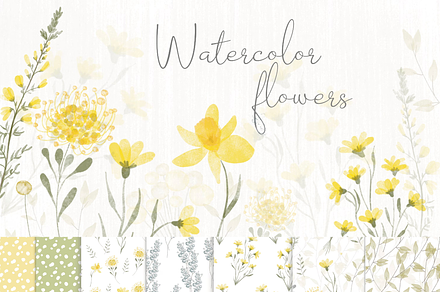 Flowers and garden Watercolor, an Illustration by Lolytop Studio