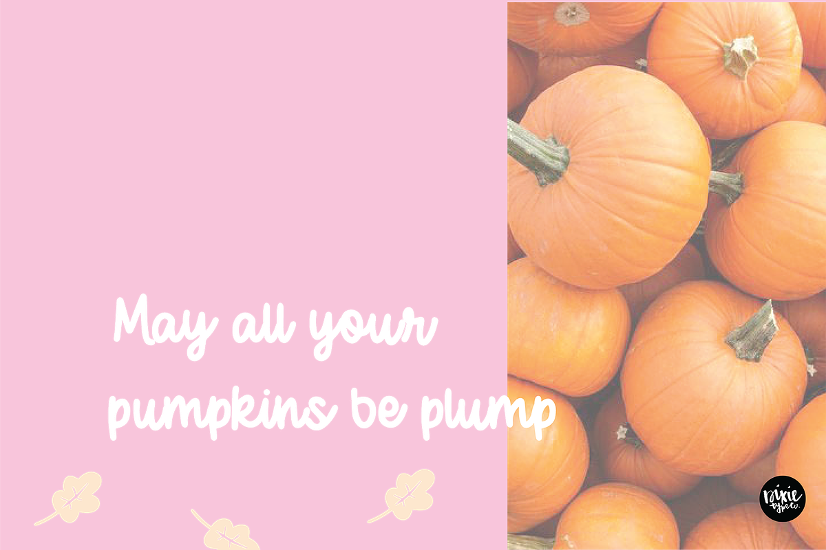 OCTOBER DAYLIGHT a Bold Script Font preview 4