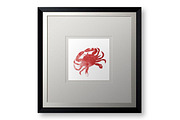 Just a Little Crabby Illustration, an Animal Illustration by Digital Art Downloads (Thumbnail 2 of 3)