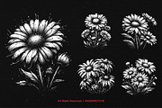 10 Bundle Dark Art Daisy Flower, an Illustration by Morspective (Thumbnail 3 of 7)