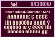 Highest Power font, a Serif Font by weknow (Thumbnail 8 of 8)