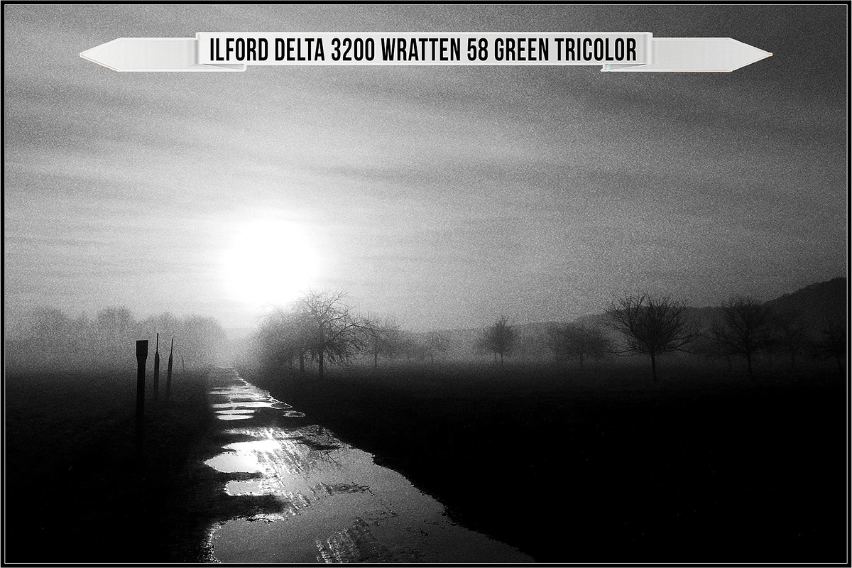 Ilford Films LUTs, a Plug-in Add-On by Raztrend (Photo 23 of 30)