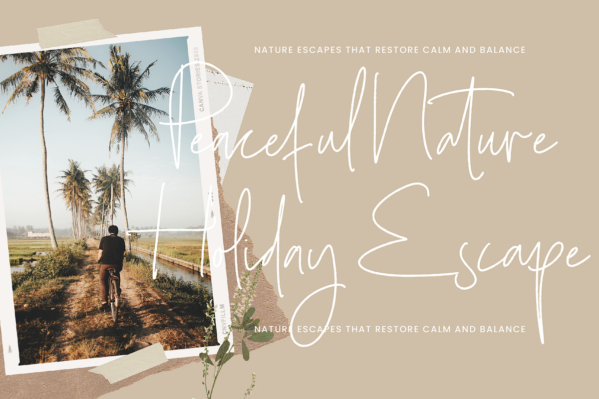 Sharottens Monoline Script, a Script Font by operatype.co (Photo 7 of 15)