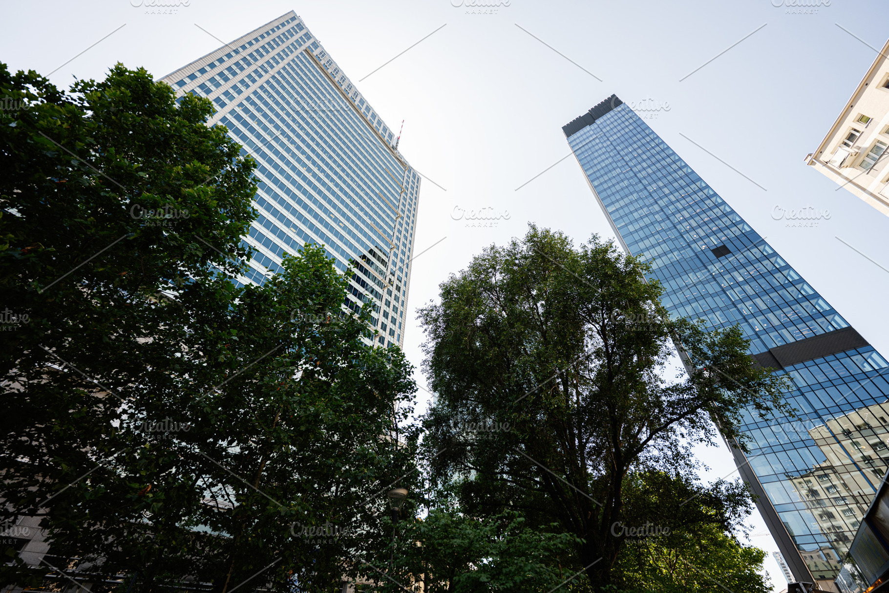 Modern skyscrapers surrounded by lush green trees in a cityscape view, a Photo by AS photostudio