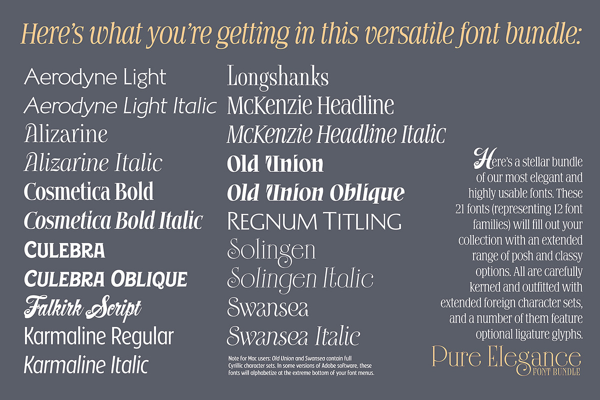 Pure Elegance Font Bundle, a Serif Font by Mysterylab Designs (Photo 2 of 21)