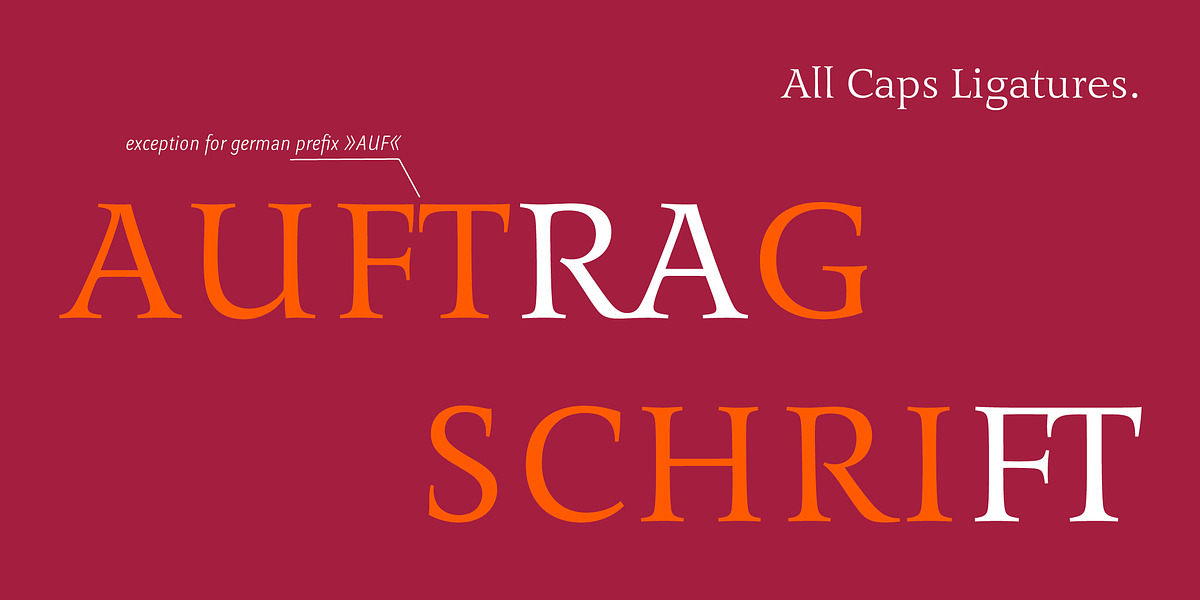 Benedikt, a Sans Serif Font by Finaltype (Photo 16 of 20)