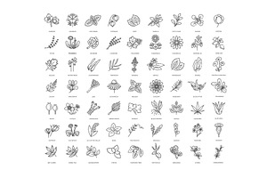 Medical healthy herbs and flowers, an Icon by Tettygreen