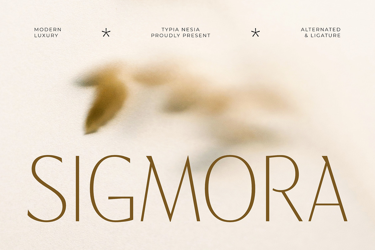 Sigmora - Modern Elegant Thin Sans, a Sans Serif Font by Typia Nesia (Photo 1 of 11)