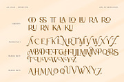 Le Jour - Font Script Serif Family, a Font by din-studio.com (Thumbnail 15 of 15)