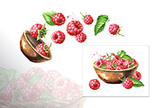 Summer Raspberries. Watercolor set, a Food Illustration by Daria Ustiugova (Thumbnail 11 of 26)