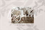 Halegio | Modern Calligraphy Font, a Script Font by Ariya Works (Thumbnail 4 of 11)