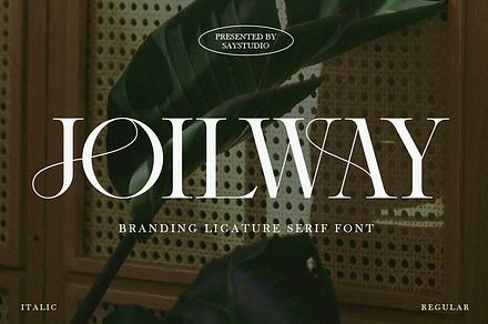 Chasa Marelo - Luxury Branding Font, a Serif Font by Say Studio