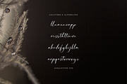 Dialmeray | Elegant Calligraphy Scri, a Script Font by gracetype_studio (Thumbnail 11 of 12)