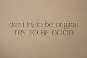 Salve - Elegant Serif + Cyrillic, a Serif Font by VP Fonts (Thumbnail 4 of 20)