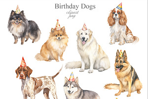 Birthday Dogs