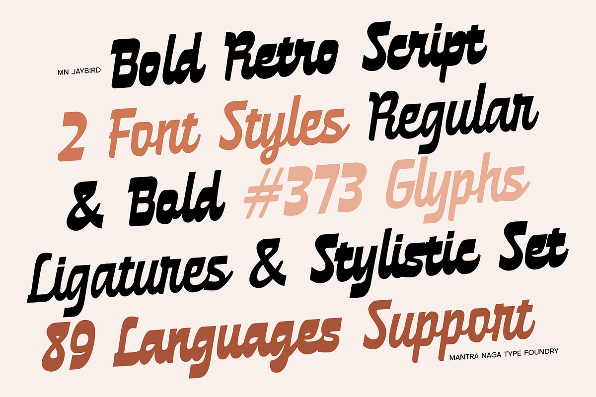 MN Jaybird - Bold Retro Script Font, a Script Font by Mantra Naga (Photo 2 of 18)