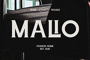 Gothica Modern Gm, a Serif Font by Zafiratype (Thumbnail 6 of 15)