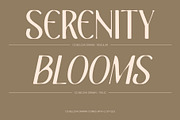 CS Belova Drawn, a Serif Font by Craft Supply Co. (Thumbnail 3 of 8)