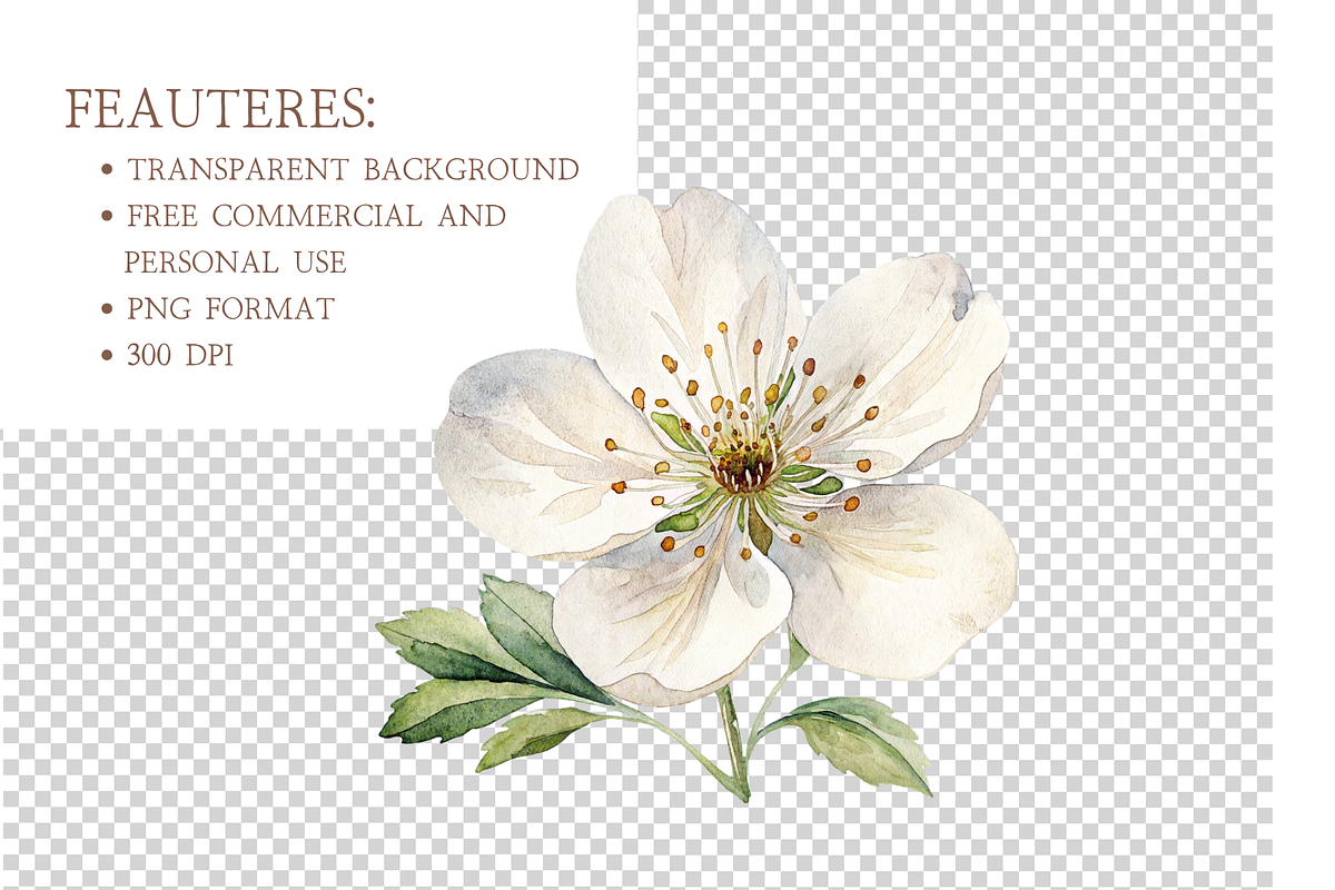 Autumn Pear Clipart PNG, an Object Illustration by MockupWizard (Photo 4 of 5)