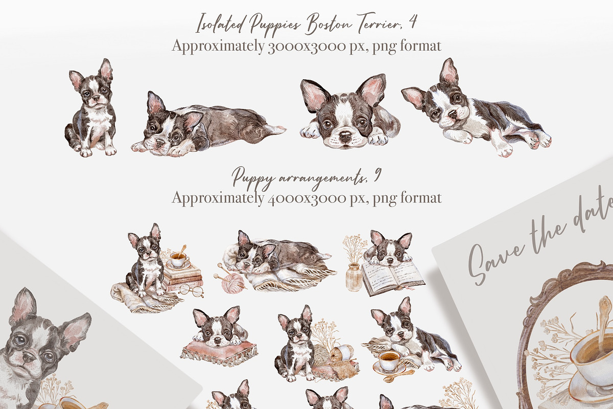 Cozy Home And Boston Terrier Puppies, an Object Illustration by Shabbypie (Photo 3 of 4)