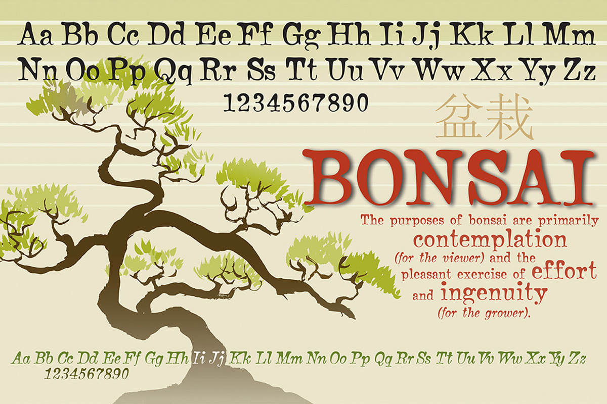 Bonsai, a top-heavy serif family preview 4