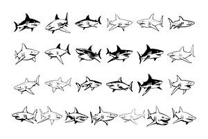 50 Sharks Procreate Stamps Brushes