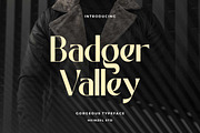 Badger Valley Modern Sans Serif, a Sans Serif Font by Heinzel Std (Thumbnail 13 of 13)