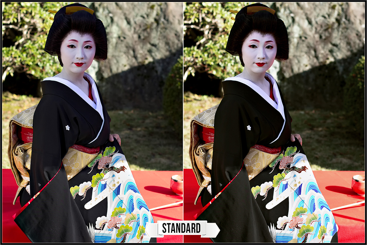 Ricoh Image Controls & Creative Mode, a Plug-in Add-On by Raztrend (Photo 3 of 31)