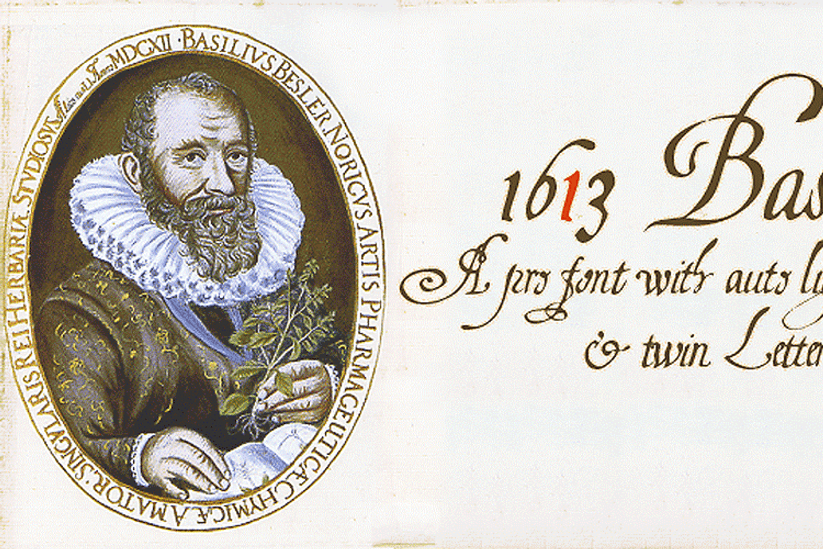 1613 Basilius PRO