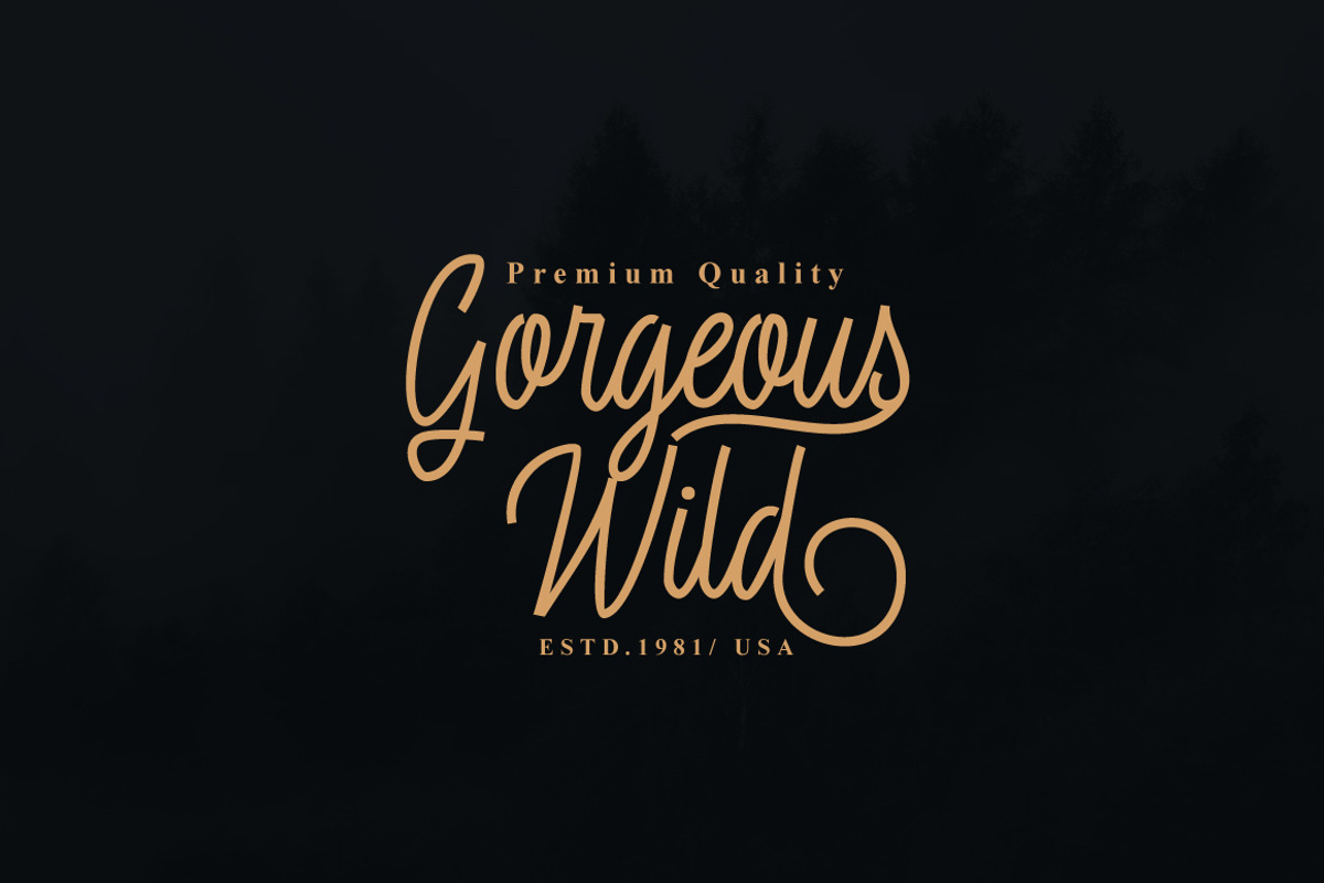 Fasterox Script, a Script Font by Amarlettering (Photo 3 of 8)