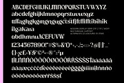 Slow Bar Stories Display Serif, a Serif Font by AmorfaType (Thumbnail 8 of 8)