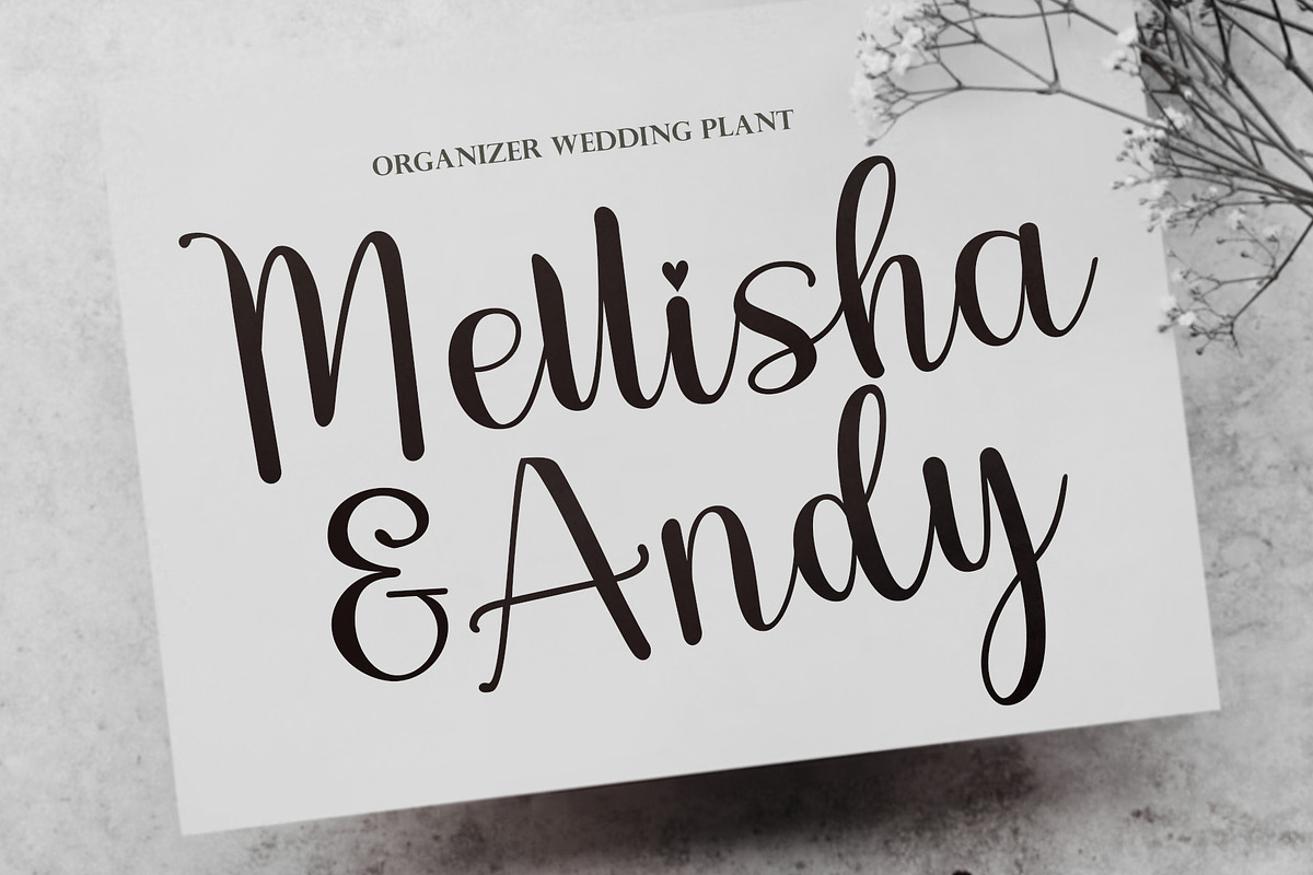 Sky Script, a Script Font by Genesis Lab (Photo 3 of 7)