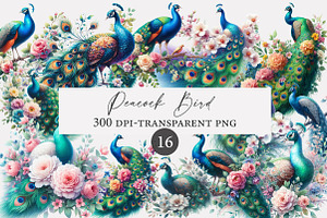 Peacock bird Clipart, an Illustration by Designworld