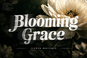 Thamara Classic - Elegant Serif Font, a Serif Font by Brainwave (Thumbnail 2 of 8)