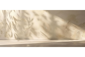 Sunlit Beige Wall with Natural, an Abstract Photo by piter.goskov